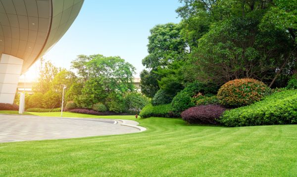 Cost of Commercial Lawn Mowing in Redmond