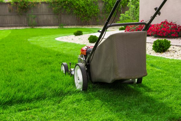 Cost of Grass Mowing in Redmond