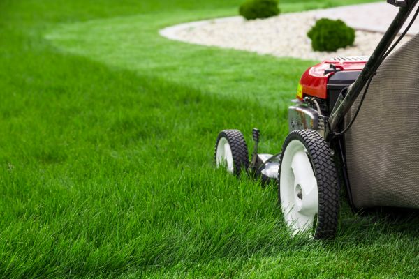 Lawn Cutting Service in Redmond
