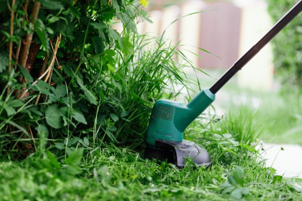 Cost of Weed Whacking in Redmond