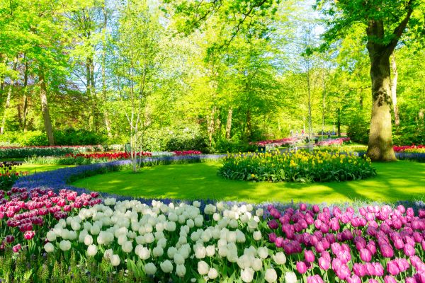 Cost of Spring Lawn Care in Redmond