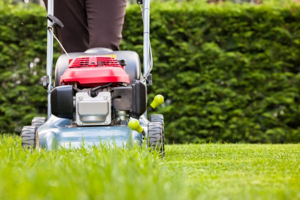 Cost of Grass Trimming Service in Redmond