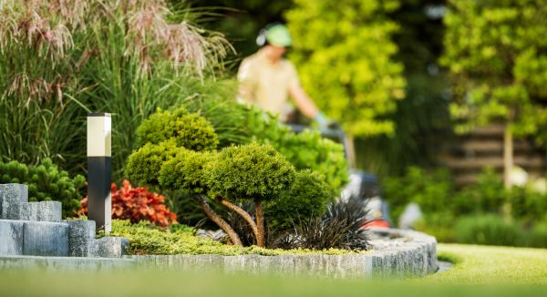 Cost of Residential Yard Maintenance in Redmond