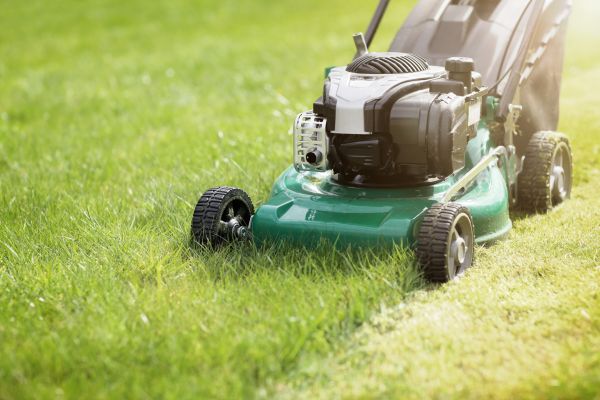 Cost of Spring Grass Trimming in Redmond