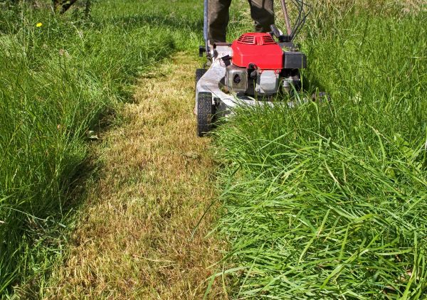 Leaf Mowing in Redmond