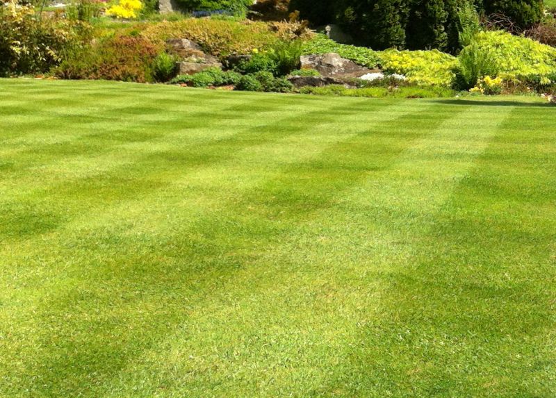 Mowing Patterns
